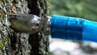 100 New Stainless Steel Lifetime Taps 5 16  Maple Sap Syrup Tubing Spout Free Sh