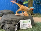 Collecta Oviraptor Dinosaur Hand-painted Pvc Figurine Retired 2010 No  88411