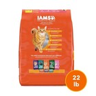 Iams Proactive Health Adult Dry Cat Food With Real Salmon  22 Lb