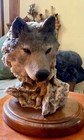 Mill Creek Studios  focused Prey   7104 Wolf Sculpture By Randell Reading  1990s