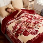 Reversible Korean Mink Blanket Printed Flannel Throw Blanket Full Queen Heavy