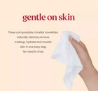  3  Pack Burt s Bees 3 In 1 Facial Cleansing Towelettes   Makeup Remover Wipes