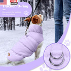 Winter Warm Dog Jacket For Small Medium Dogs Cat Cold Weather Coats With Harness