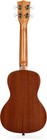 Kala Ka-15c Satin Mahogany Concert Ukulele
