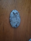 Original Civil War N c  Puppy Paw Box Plate Turned Into Buckle