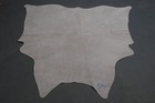 100  New Cowhide Rugs Area Cow Skin Leather  53  X 50   Cow Hide Sa-268