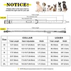 Genuine Leather Personalized Dog Collar And Leash Heavy Duty Custom Pet Name Id