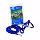 Petsafe Come With Me Kitty Cat Harness And Bungee Leash Blue Large
