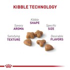 Royal Canin Feline Health Nutrition Sensitive Digestion Adult Dry Cat Food  15