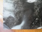 Vintage 2000 John Lennon Apple Records 36 In X 48 In Poster Beatles