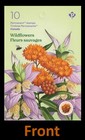 Canada 3416-3417 Wildflowers P Pane 6 Mnh 2024