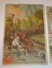 Lot Of  4  1800 s Chicago  Illinois Victorian Trade Cards Boots   Shoes A73