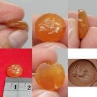 Roman Ancient Carnelian Intaglio Seal Stone Animal Engraved Agate Bead Roman