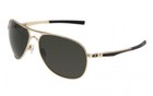 New Oakley Yuvraj Singh Signature Plaintiff Gold dark Grey 004057-12 Cricket