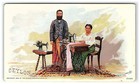 Singer Sewing Trade Ceylon Card Co 1892 Manufacturing Countries Nations