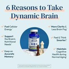 Dynamic Brain Supplement Focus  Memory   Clarity Support 60 Capsules Pack Of 2