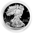 1993-p Proof  1 American Silver Eagle Box  Ogp   Coa