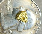 Pure Gold Nugget Alaska Yukon Bc Natural Small Rock Hand Picked Raw Fine 22k  3g