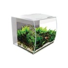 Stylish 9 Gallon Fish Tank Kit W  Led Lights Filtration System Aquatic Life New