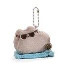 Pusheen Surprise Places Cats Sit Series  3 Keychain - One Blind Box