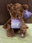 Russ Shining Stars Brown Bear Plush New W  Sealed Star Registry Code Tags