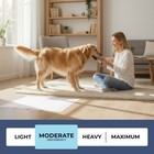 50 Disposable Pads Chux Absorbant Dog Pee Training Underpad Blue Xl 24 x36  -fpn