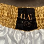Cassius Clay Owned 1960 Gold Trunks And Gold Glove Set - Not Signed