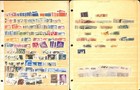 Sweden Stamp Collection On 8 Stock Pages  Interesting Lot  fb 