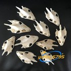 10 Pcs Turtle Skull Crafts Education Animal Specimen Crafts Bone Ornament Model