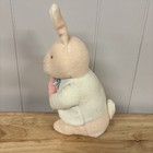 Vtg Eden Plush My First Peter Rabbit Pink Bunny Rabbit Plush Beatrix Potter