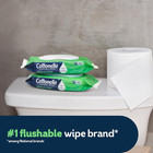 Cottonelle Gentleplus Flushable Wet Wipes With Aloe   Vitamin E  4 Flip-top Pack