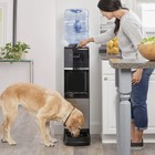 Brand New Primo Pet Station Water Dispenser 601243-c   Hot   Cold   Pet Bowl