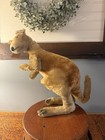 Vintage Steiff 18  Inch Tall Kangaroo Excelsior Wood Wool Stuffing