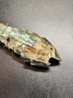 Mexican Vintage Mother Of Pearl Abalone Articulated Fish Bottle Opener 9 7 8 