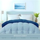 Reversible Comforter - King Size Duvet Insert - All Season Soft Quilted