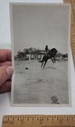 Vintage Photo - Cowboy Riding Bucking Horse - Listing  5224