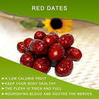 Bulk Organic Fresh Selected Dried Red Dates  Jujube