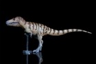 Pnso 73 Daspletosaurus Cole Model Animal Prehistoric Dinosaur Collection Decor