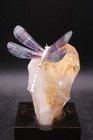 Peter Muller Hand Carved Fluorite Dragonfly On Citrine Base