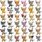 3pcs Littlest Pet Shop Lps Toys Rare Figure Pack Random With 5pcs Accessories
