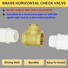 1  Npt Swing Brass Check Valve Dn25 Horizontal One Way Check Valve To Prevent   