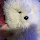 Alpaca Fur Teddy Bear Stuffed Animal Plush Toy Super Soft White  read Descriptio