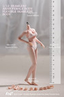 1 12 Female Seamless Body Flexible Pale Medium Bust For 6  Action Figure Doll