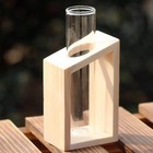 4-pack Glass Test Tube Vases For Plant Propagation Hydroponic Planter Tubes I   