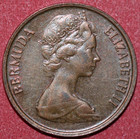 Bermuda 1985  Cent Wild Boar-foreign Coin 19mm