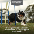 For Large Dogs  Joint Health Supplement  Contains Glucosamine 150 Count   new