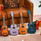 Aodsk Soprano Violet Ukulele For Beginner 21 Inch Ukelele Soprano  