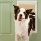 Petsafe White   Durable Plastic Dog Pet Door Multiple Sizes - authorized Dealer 