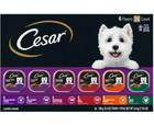 Cesar Classic Loaf In Sauce Wet Dog Food Variety Pack  3 5 Oz Trays  36 Pack 