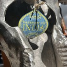 Cast Aluminum Steer Skull Head Wall Art Passport To India Heavy 10lbs 25    Bull